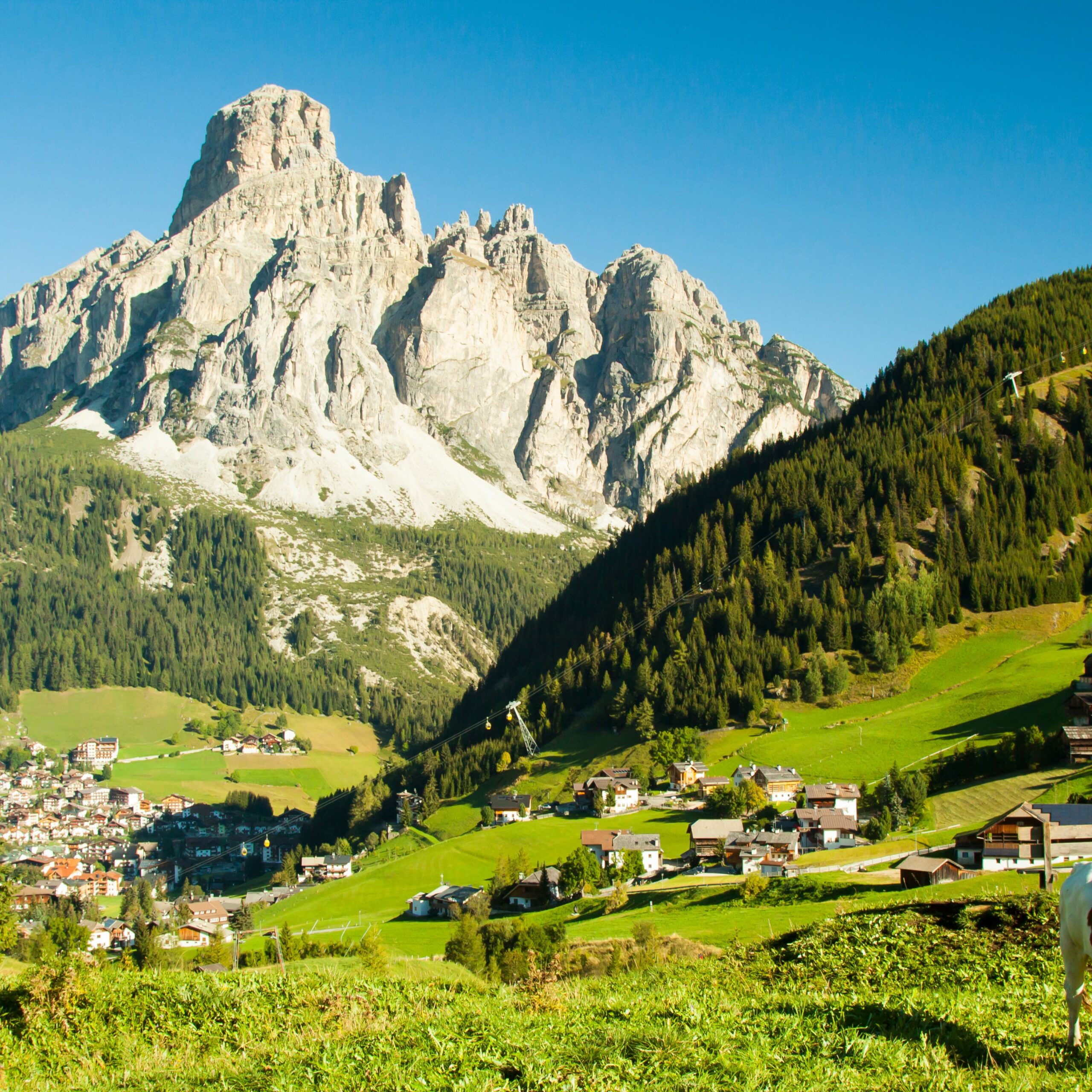 Corvara