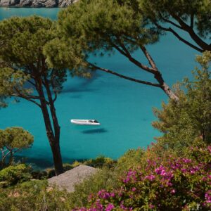 Spiagge più belle dell'Isola d'Elba